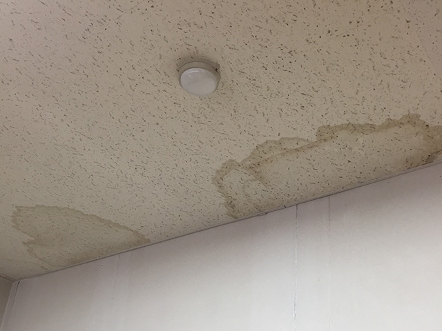 天井・壁のシミ